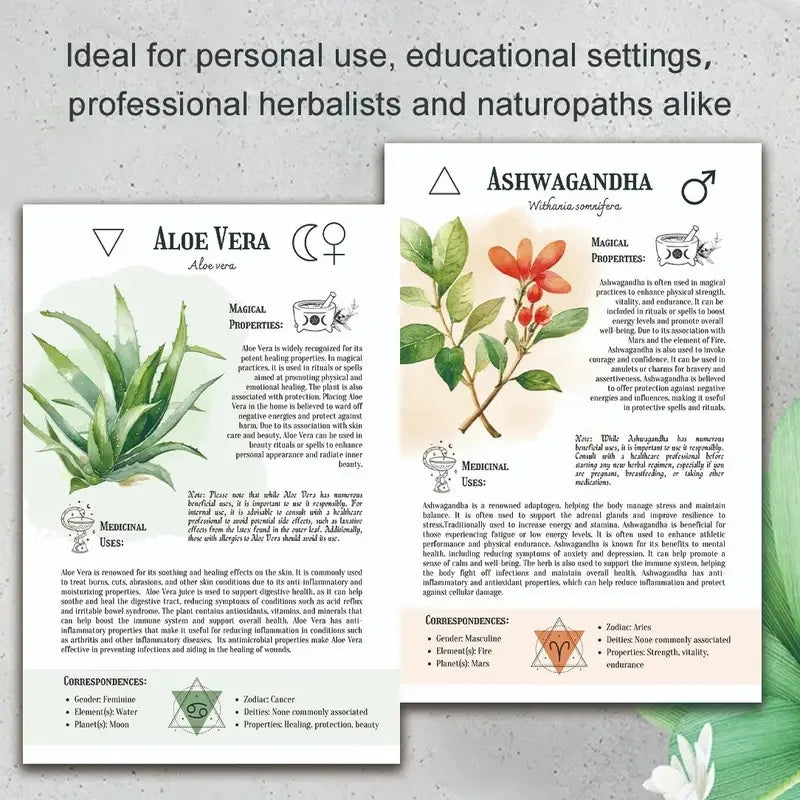 Addie’s AlignCurve™ | Ancient Remedies: The Natural Healing Handbook 2025 (The Interactive Guide)